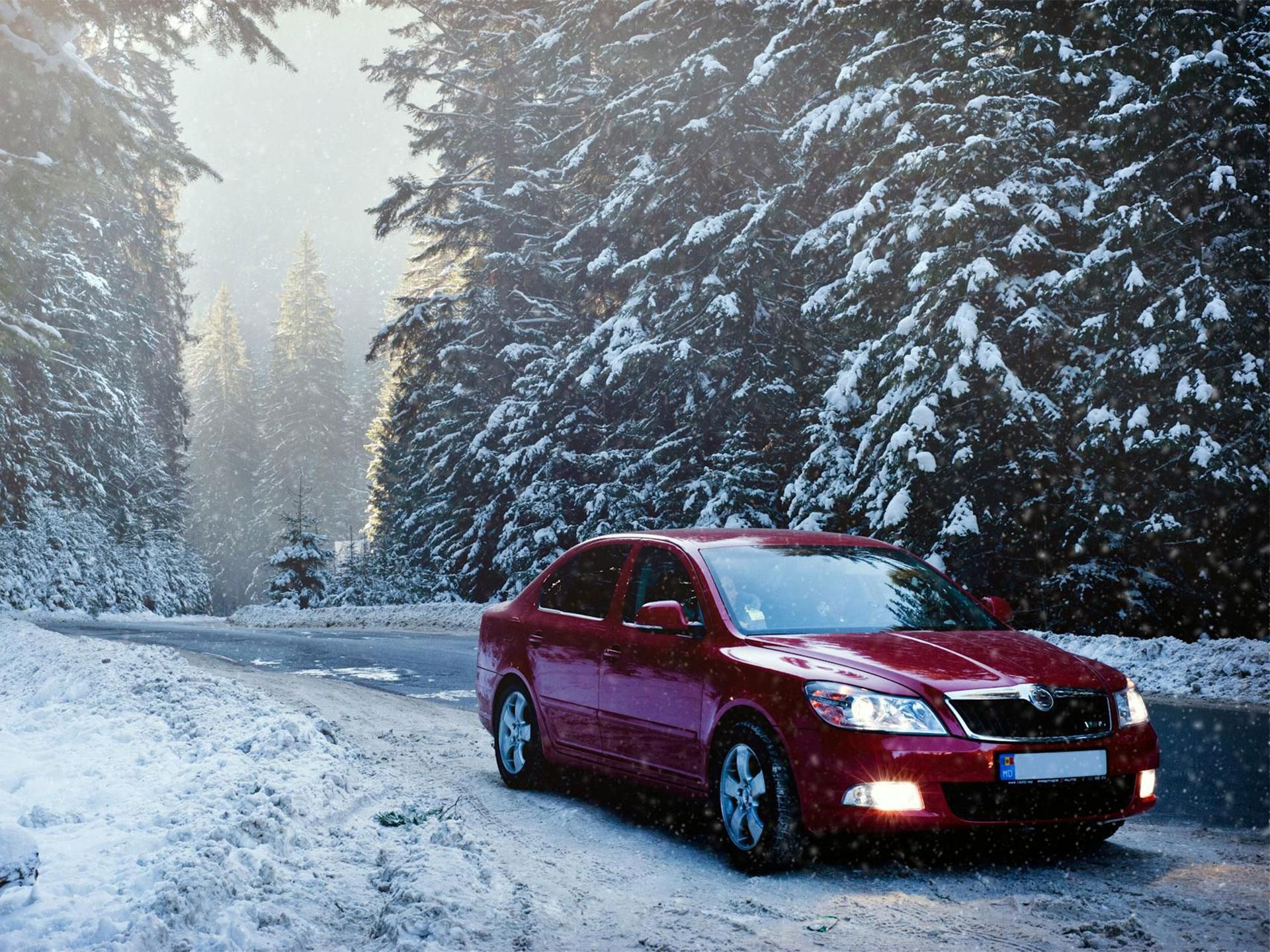 auto rossa su strada coperta di neve tra due file di alberi innevati